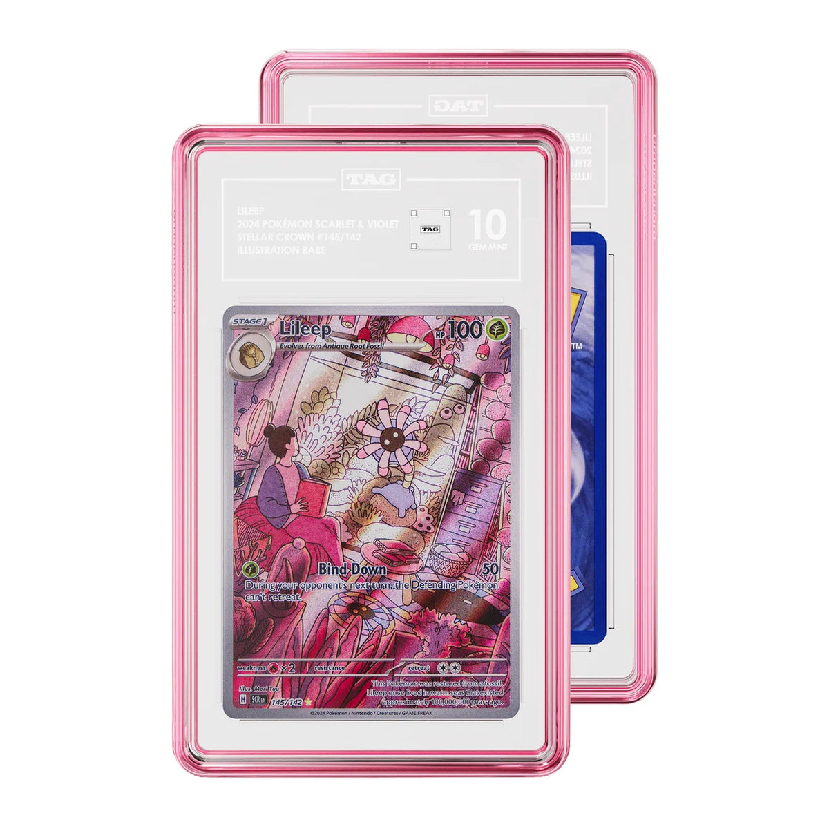 GradedGuard - Protecteur de Slab - TAG - Quartz rose (Boîtier de bijou)