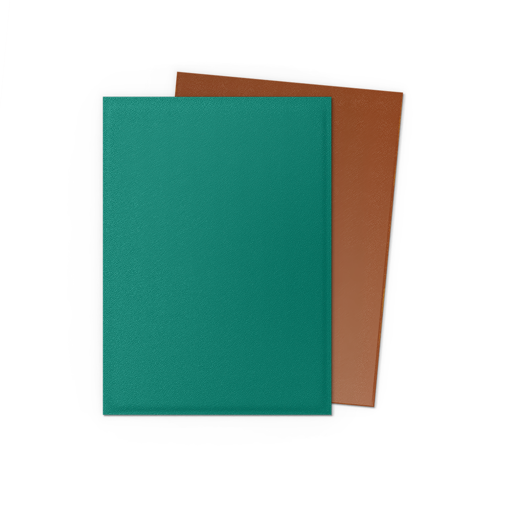 SLEEVES DS Mat Dual - Cuivre Puissant (100)