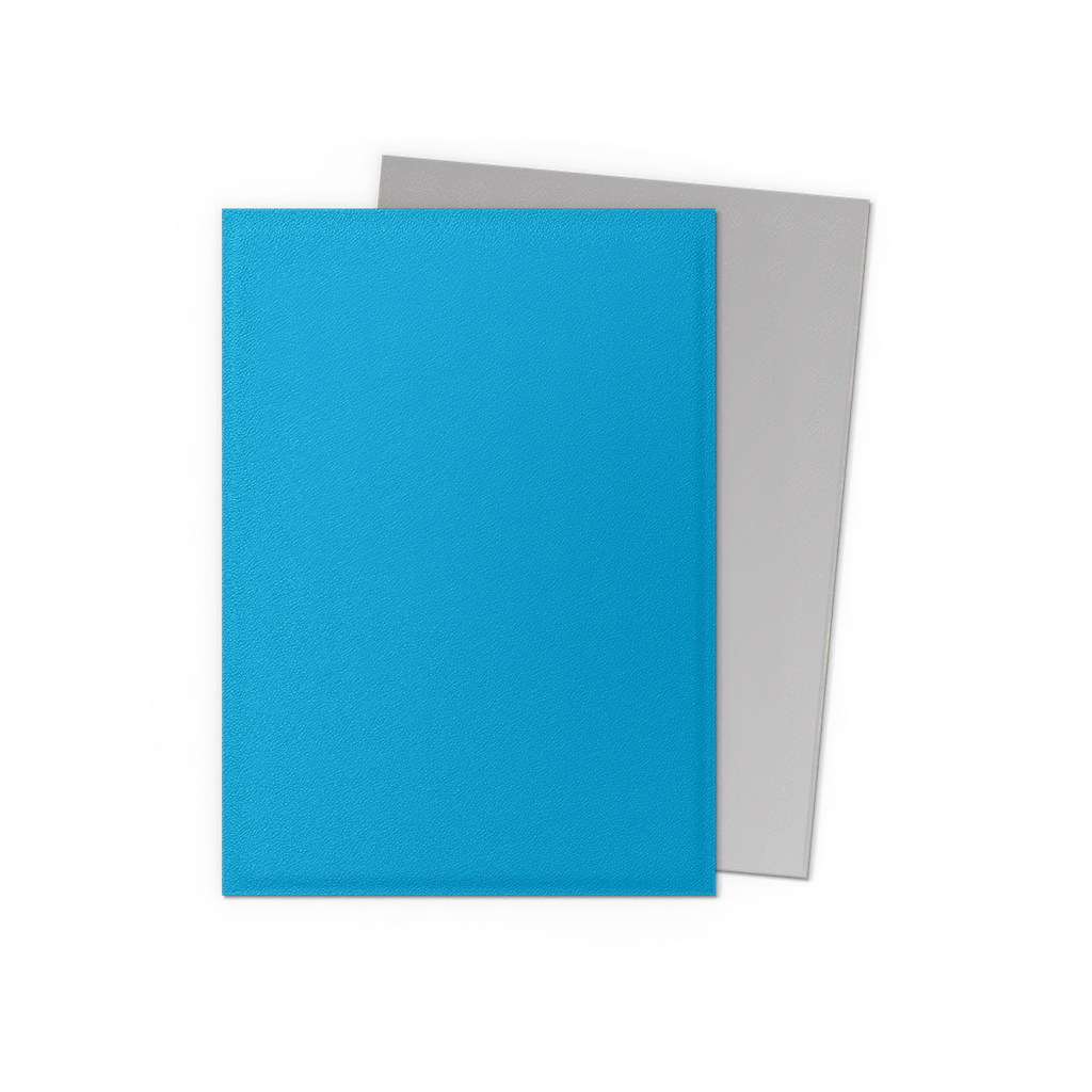 SLEEVES DS Matte Dual - Sky Blue & Silver (100)